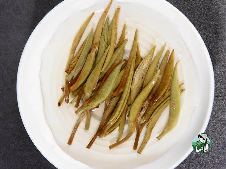 为什么初夏是喝茶养生重要的季节？该喝什么茶？