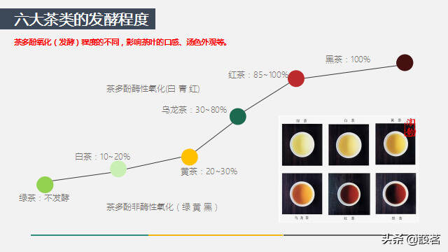 茶叶入门基础知识，都在34张PPT课件上