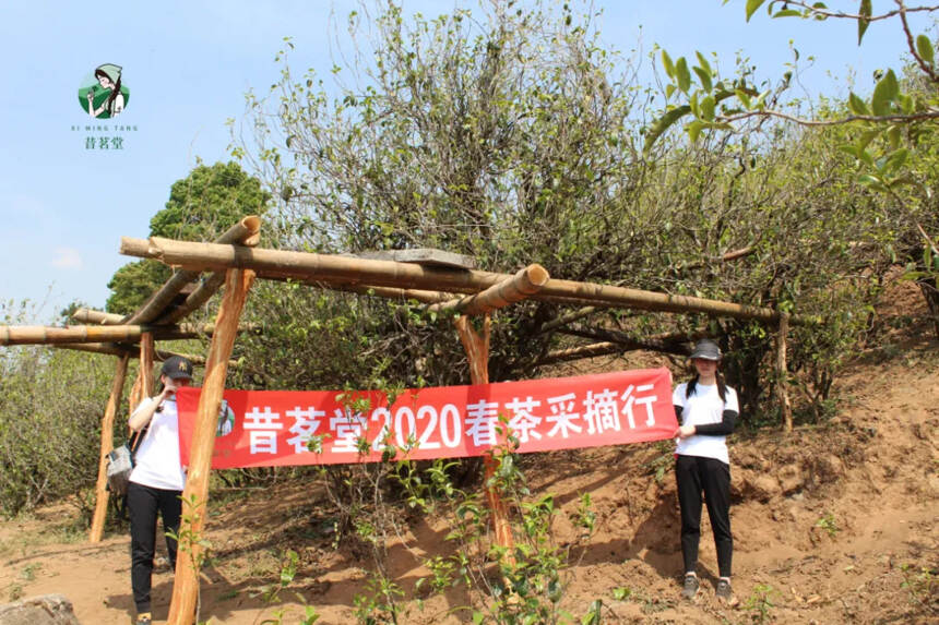 《三十而已》做茶做人，从来没有捷径可走，千锤百炼方显人生真味