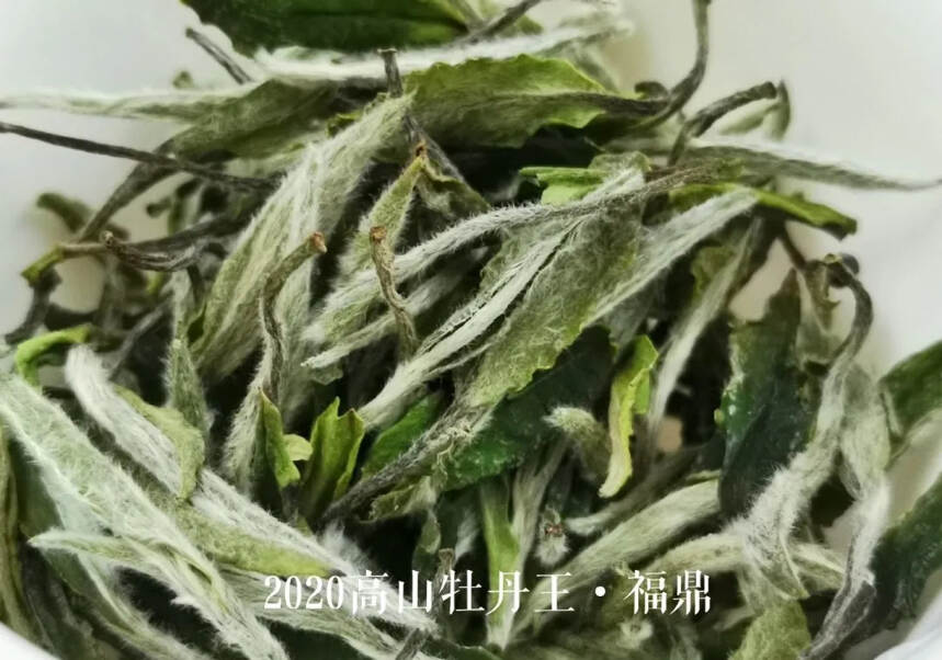 甜味到底是不是评判白茶好坏的标准？