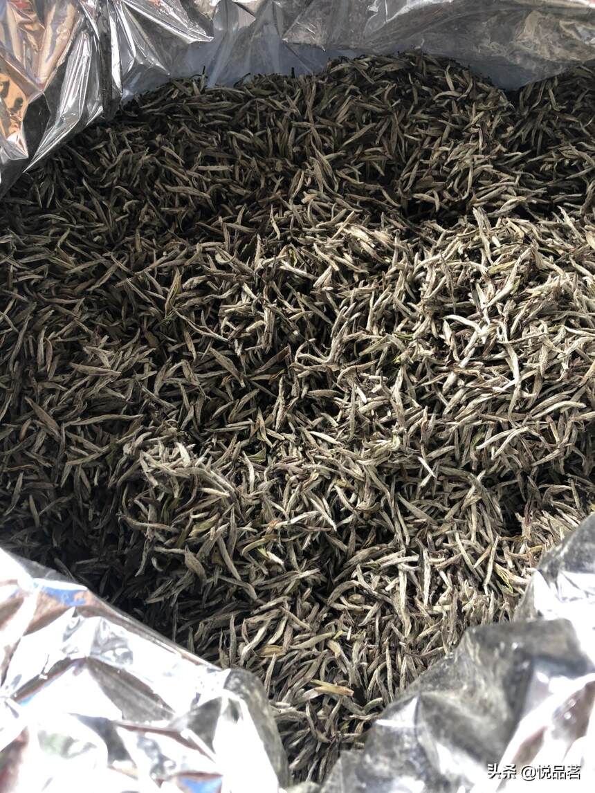 白毫银针老茶贵吗？2016年的白毫银针老茶，入口生香，回味无穷