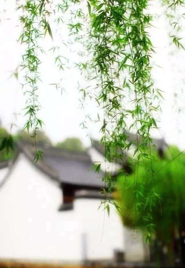 好雨知时节，当春乃发生；随风潜入夜，润物细无声。