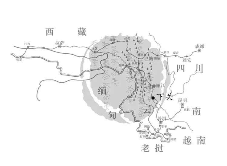 紧压茶究竟是为何出现的？