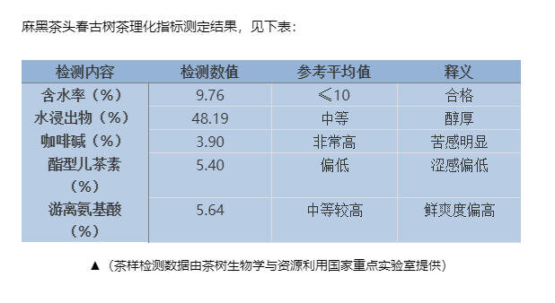 【漫话茶山】悠悠岁月，漫漫茶香——易武茶山（下）