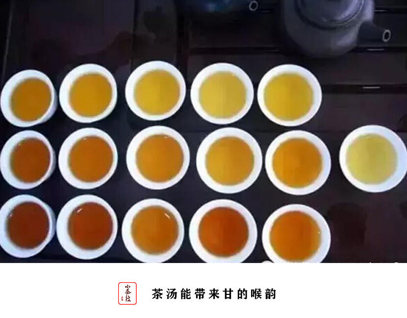 普洱新嘴看过来 17个点带你初步认识普洱茶