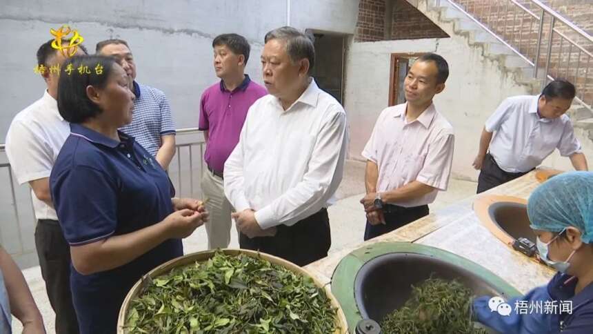 张秀隆率队到梧州调研茶产业发展情况
