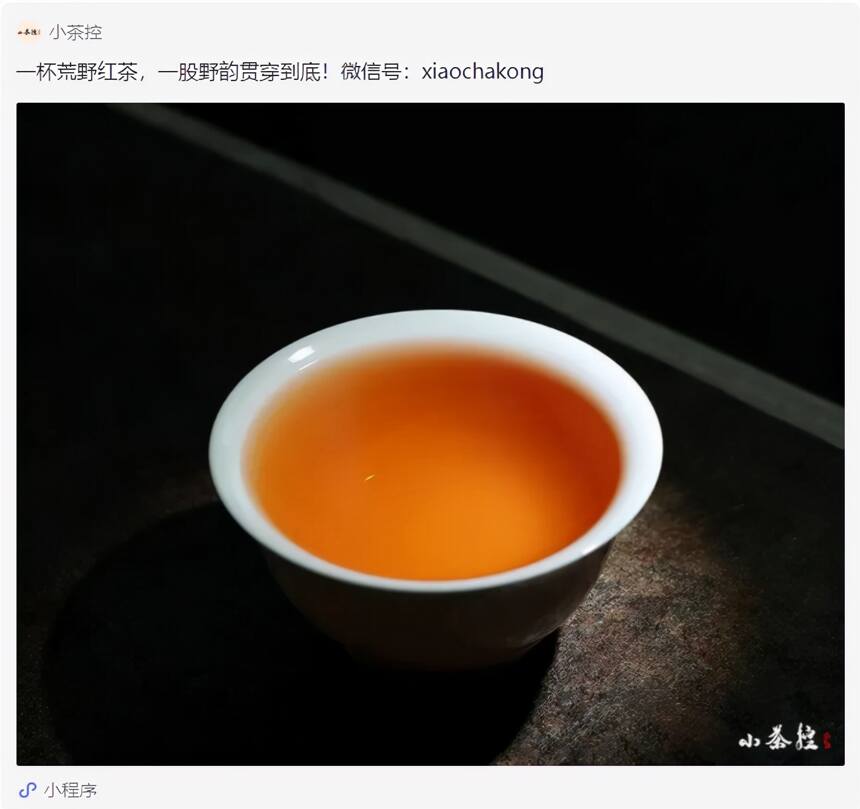 “龙珠”形态茶叶：简便与内涵，快节奏与泡茶，彼此再无冲突