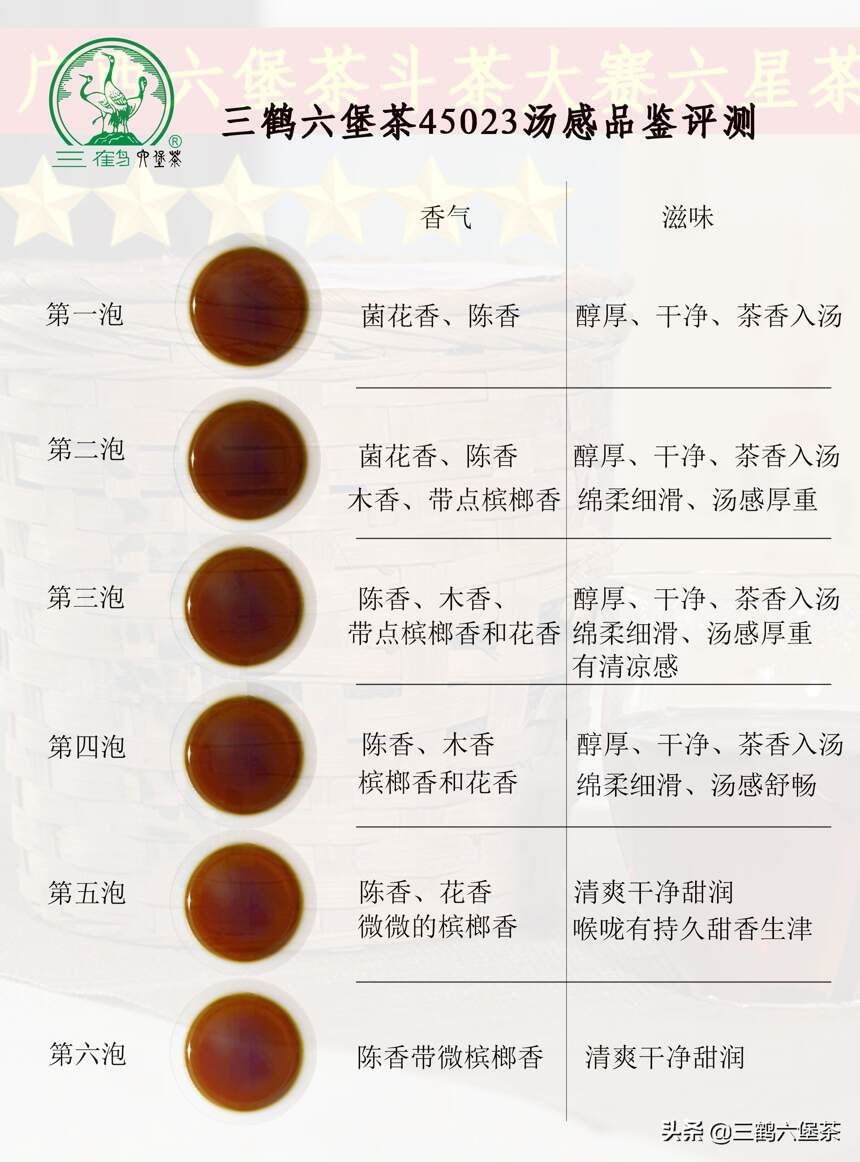 三鹤六堡茶45023品鉴评测