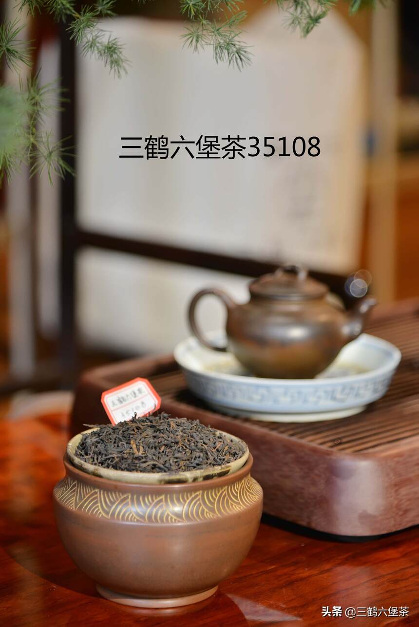 三鹤六堡茶窖藏标杆茶35108品鉴评测