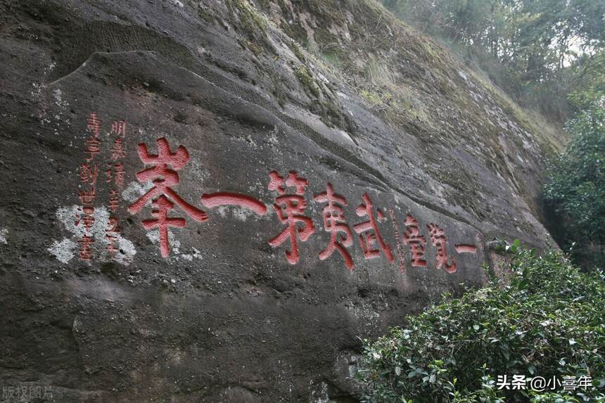 东京奥运会期间申遗成功的泉州，竟是这些中国名茶的发源地？