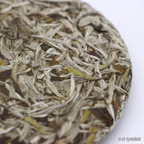 白毫银针的饼茶为什么没有散茶好？白毫银针为什么不建议压饼？