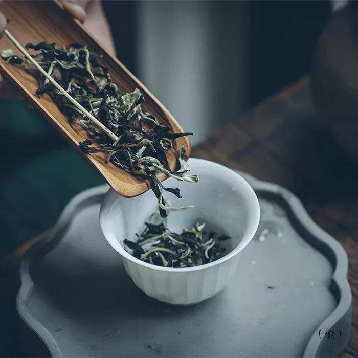 摸透茶的脾性，好茶才能如约而至，福鼎白茶的三种性格你懂了吗？