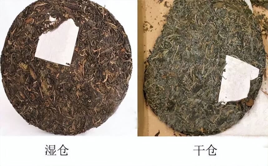 不懂湿仓茶就敢买普洱茶？你胆子可真大！（全是干货）