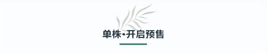 2022·小茶控单株开采日 预售开启