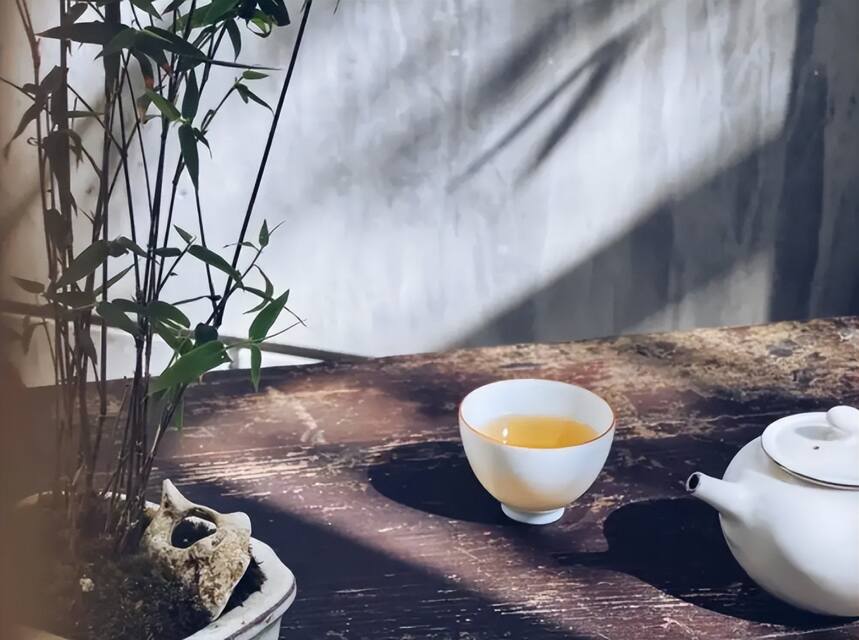 茶生活｜新手如何快速舒适居家饮茶