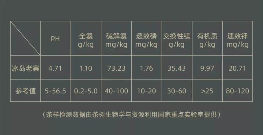 古树茶让人着迷的山野韵，从何而来？