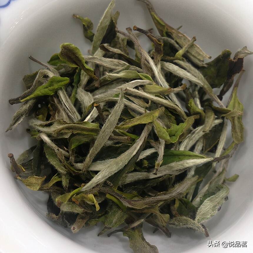 好的老白茶一斤多少钱？如何妥善保存老白茶转化更好呢？