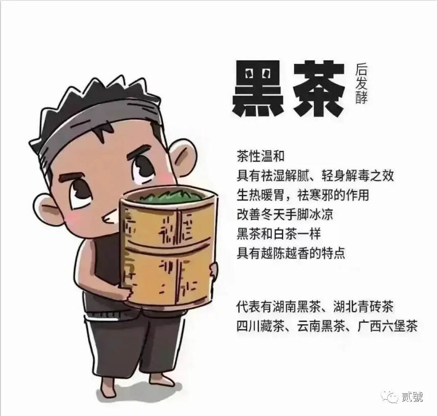 绿茶｜白茶｜黄茶｜青茶｜红茶｜黑茶