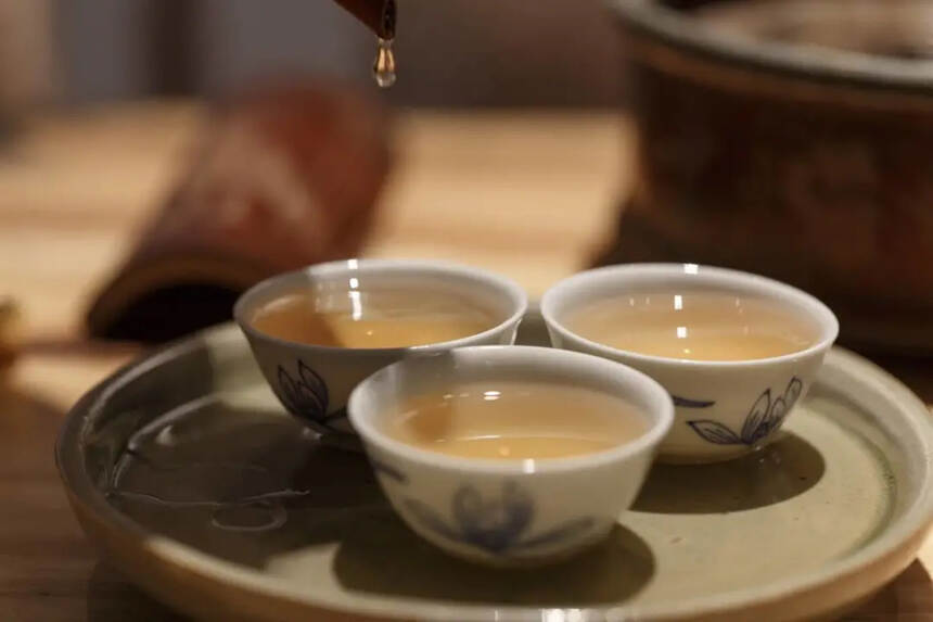 关于六大茶类茶性，以及九大体质特征的饮茶建议