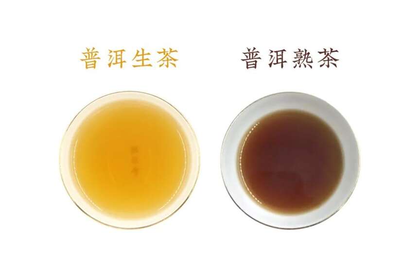 陆羽茶交所分享丨一筒普洱茶竟然值2632万港币，茶可喝，也可收藏