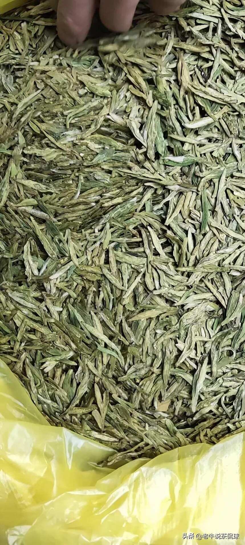 茶圈的几大谎言，你听说过几条？