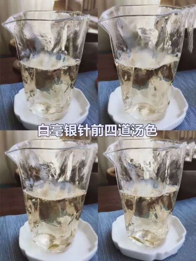 福鼎白毫银针VS云南大白毫，究竟是各具特色还是东施效颦？