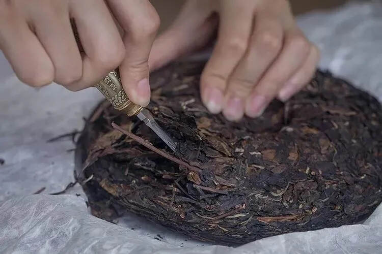 撬开后的白茶饼，该怎么存才能不变质？储存技巧学起来