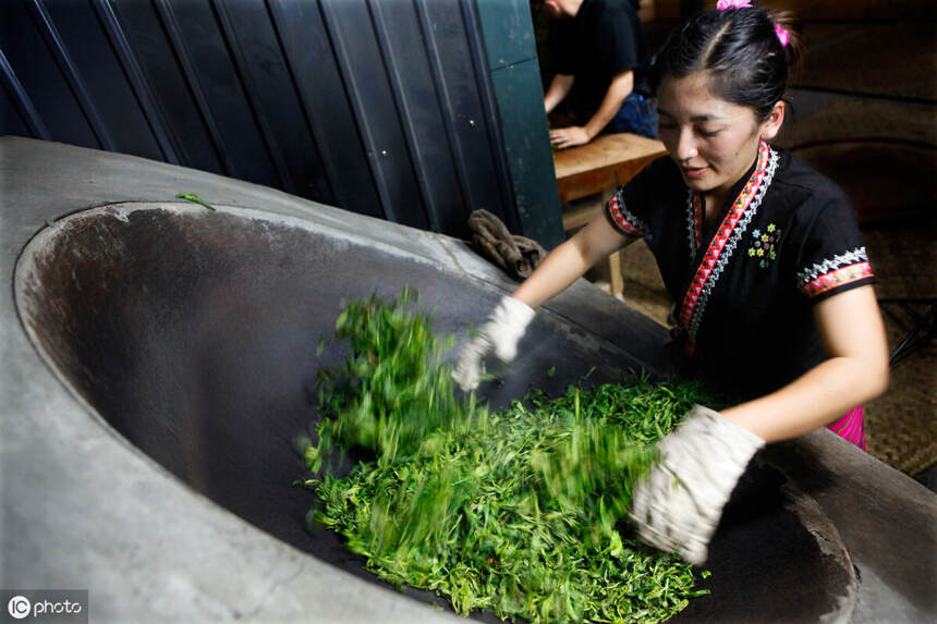 普洱茶知识：优秀的普洱茶新生茶的标准