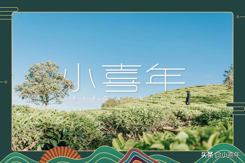 小喜年寻茶记（1）我们打算创造一个什么样的消费品牌