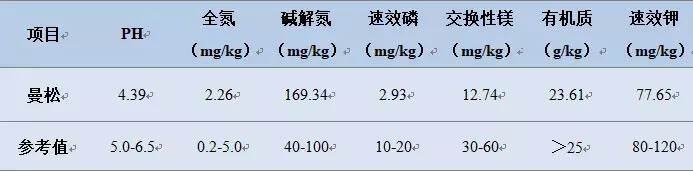 「漫话茶山」悠悠岁月，漫漫茶香——倚邦茶山