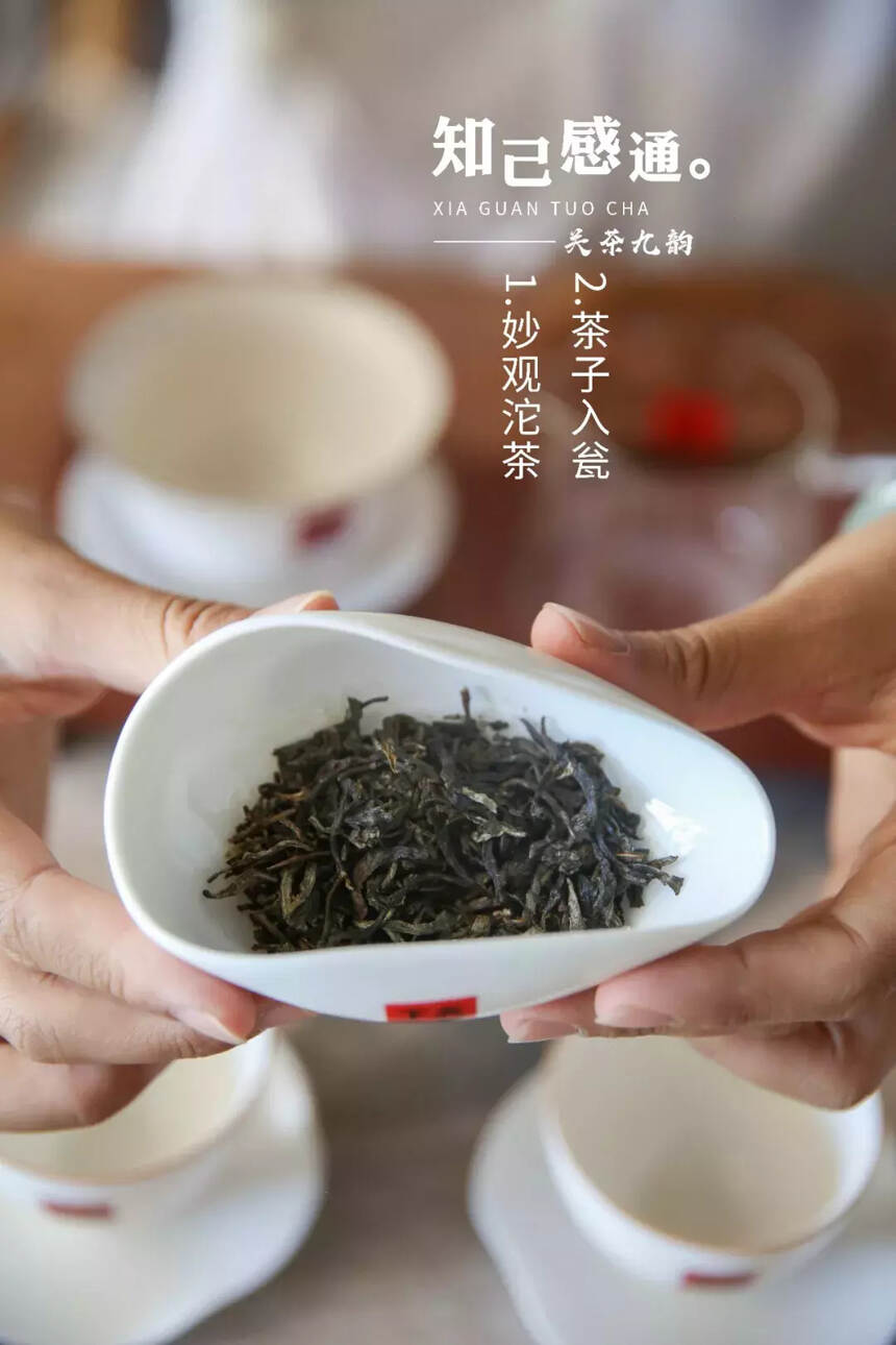 「关茶九韵」一杯好茶是这样泡出来的！（上）