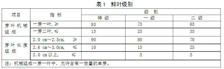 100篇茶叶入门知识普及第11篇：特种绿茶——雨花茶