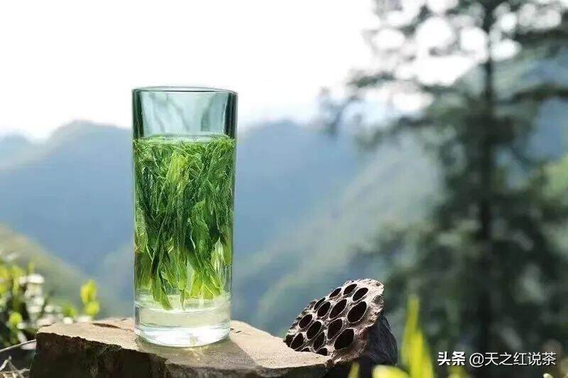 太平猴魁 I 茶界武林，无你不成江湖