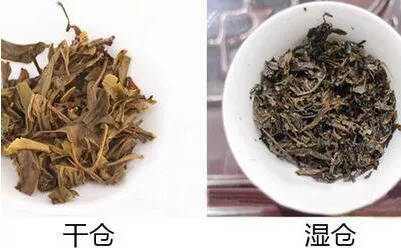 5招教你如何辨识普洱茶的“干仓”和“湿仓”