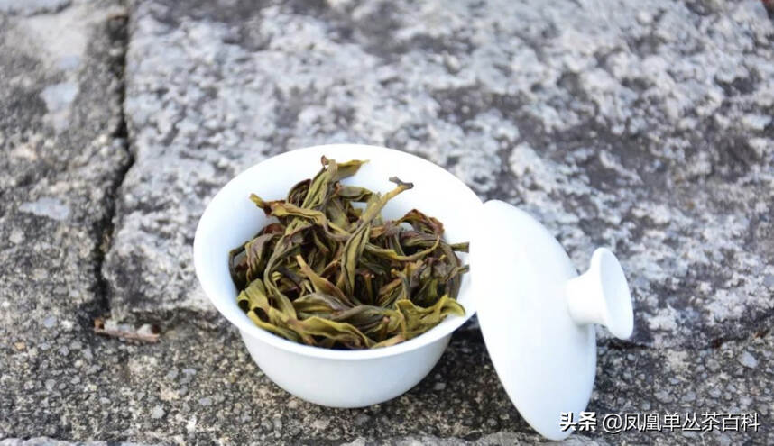 什么是雪片单丛？一年中最香的茶，茶中的香水