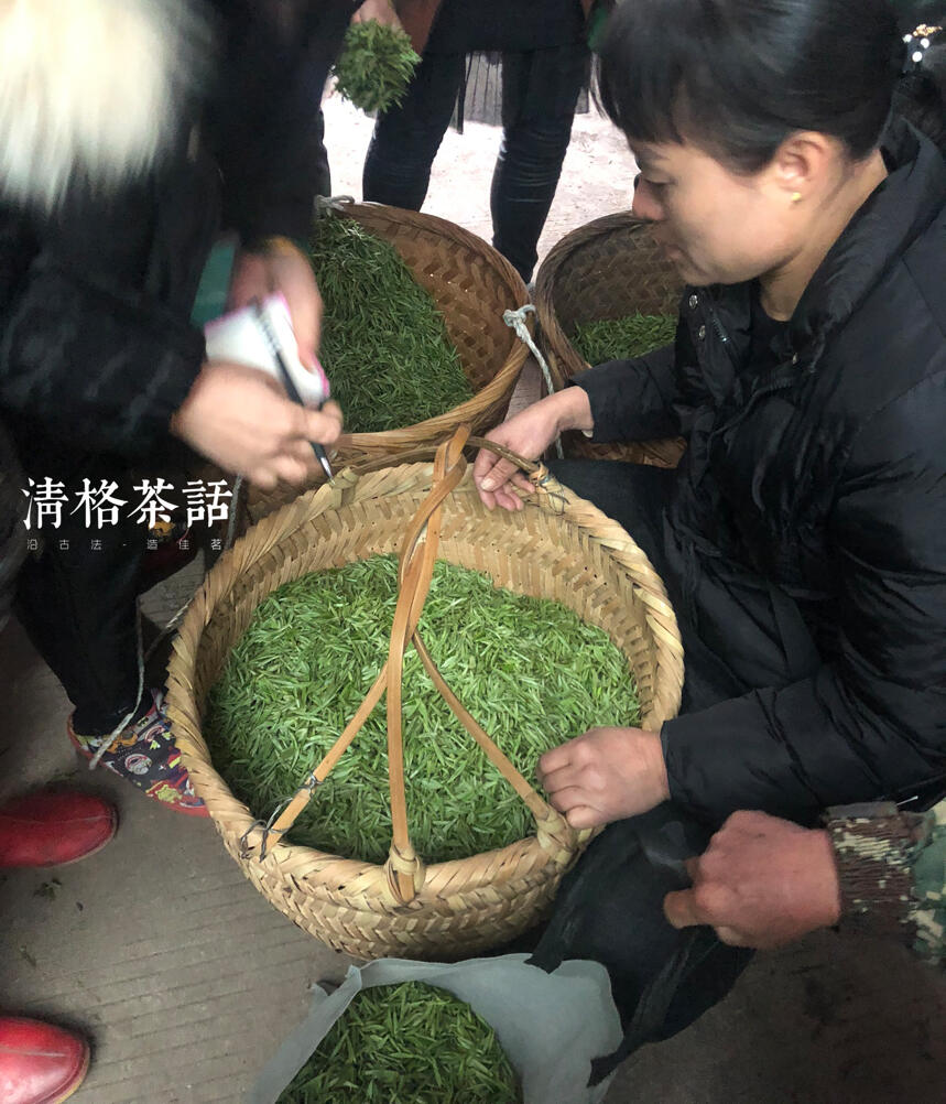 2019年福鼎白茶开茶节下攒动的茶人们