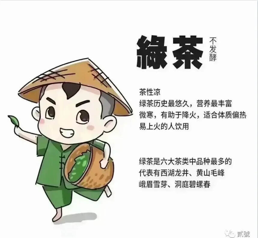 绿茶｜白茶｜黄茶｜青茶｜红茶｜黑茶