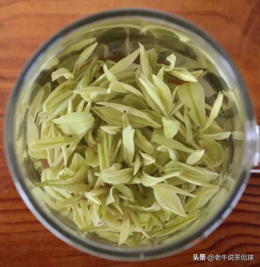 茶香飘扬，鲜如鸡汤！为何安吉白茶成为当下年轻一代的茶宠