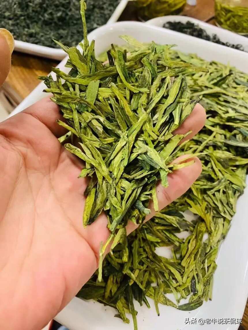 100+的口粮绿茶，高温天里的解暑凉器