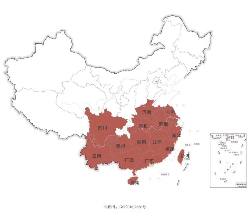 陆羽茶交所分享丨中国茶有上百种，一篇带你认识99%的茶