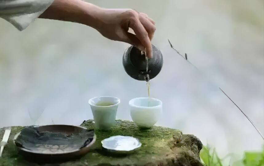 揭秘老白茶的3种醒茶方式