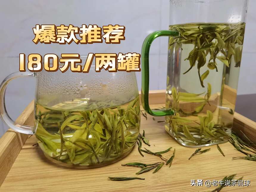 茶香飘扬，鲜如鸡汤！为何安吉白茶成为当下年轻一代的茶宠