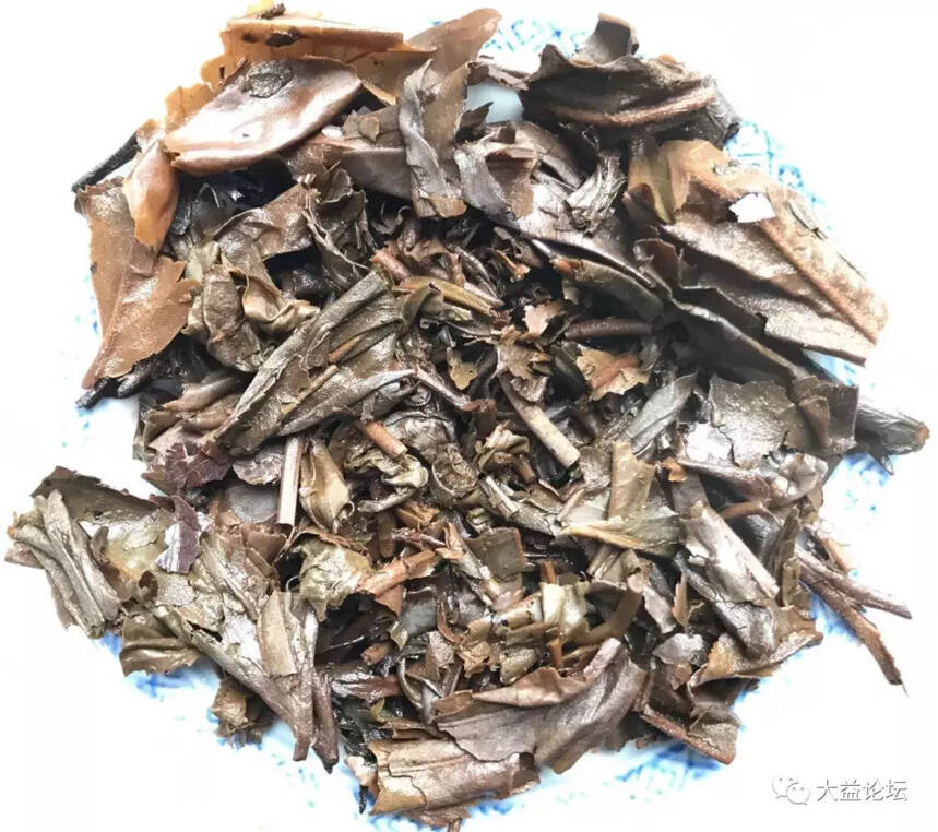 兴海精品茶，302景迈