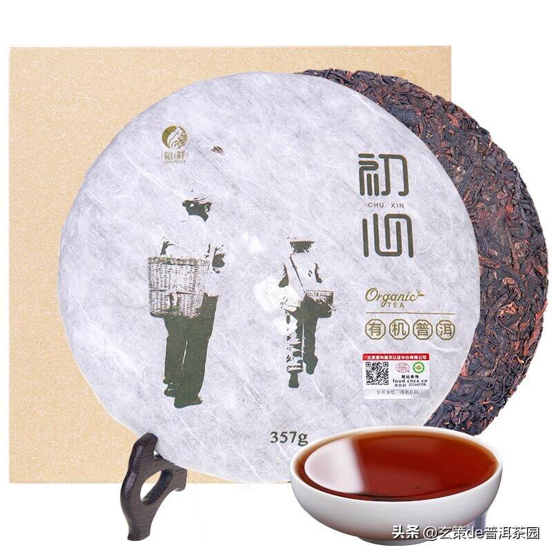 市场上那么多普洱熟茶，究竟要怎么挑选？