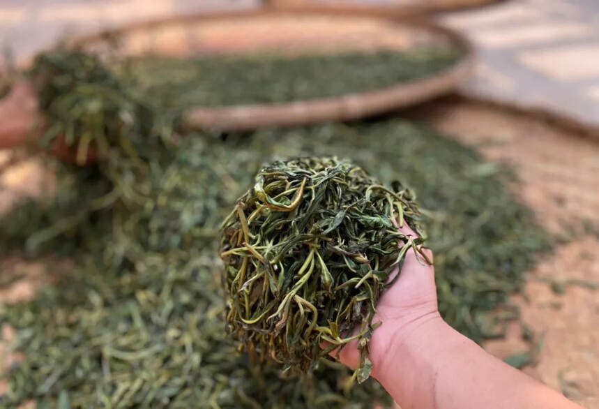 买普洱茶，买散茶好还是饼茶好？