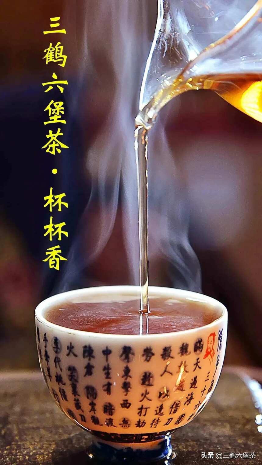 最强口粮茶｜五级六堡茶：杯杯香