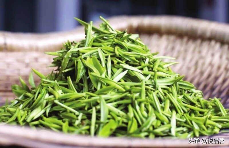 又到春茶季，你知道明前茶与早春茶有什么不同吗？