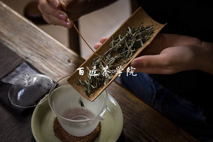 以茶养心，以茶养肤，解锁隐藏在福鼎白茶中的美丽密码