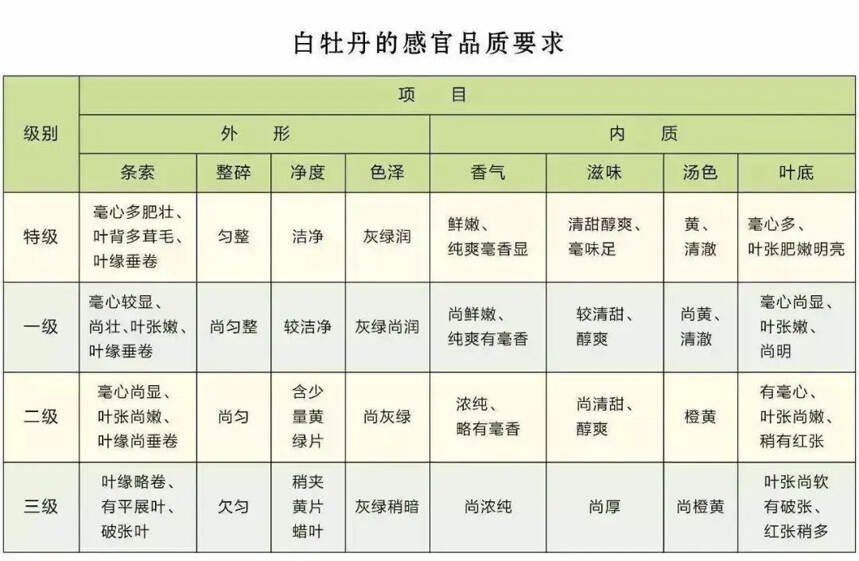 一问一答，白茶基础知识贴，系统介绍白牡丹