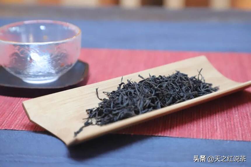 要想茶叶多又好，茶树修剪少不了